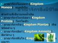 ??????????????? (Kingdom Monera): ????????? PowerPoint PPT Presentation