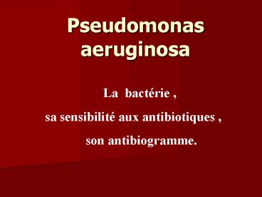 Pseudomonas aeruginosa