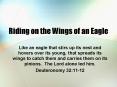 Riding on the Wings of an Eagle PowerPoint PPT Presentation