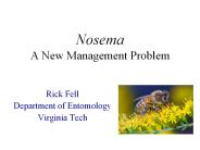 Nosema%20%20A%20New%20Management%20Problem