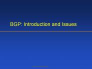 BGP: Introduction and Issues
