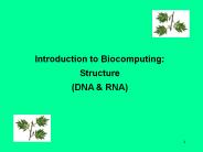 Introduction to Biocomputing: