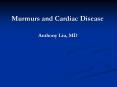 Murmurs and Cardiac Disease PowerPoint PPT Presentation