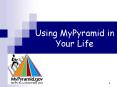 Using MyPyramid in Your Life PowerPoint PPT Presentation