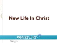 New Life In Christ