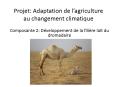 Projet: Adaptation de l PowerPoint PPT Presentation