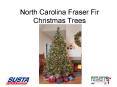 North Carolina Fraser Fir Christmas Trees PowerPoint PPT Presentation