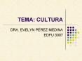 TEMA: CULTURA PowerPoint PPT Presentation
