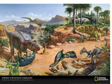 Relative Dating Powerpoint