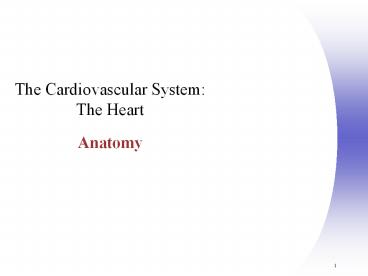 The Cardiovascular System: The Heart