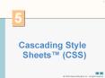 Cascading Style Sheets PowerPoint PPT Presentation