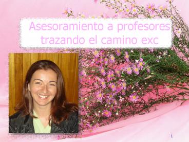 Asesoramiento a profesores trazando el camino exc