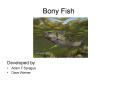 Bony Fish PowerPoint PPT Presentation