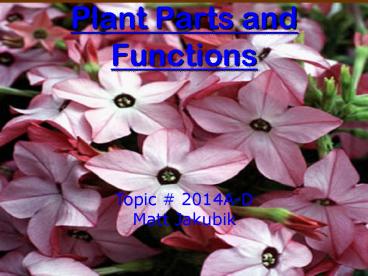 Plant Parts and Functions