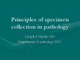 Principles of specimen collection in pathology PowerPoint PPT Presentation