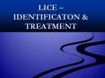 LICE  PowerPoint PPT Presentation