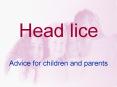 Head lice PowerPoint PPT Presentation