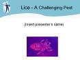 Lice - A Challenging Pest PowerPoint PPT Presentation