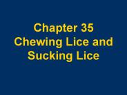 Chapter 35 Chewing Lice and Sucking Lice