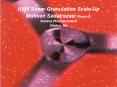High Shear Granulation Scale-Up PowerPoint PPT Presentation