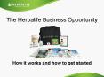 The Herbalife Business Opportunity PowerPoint PPT Presentation