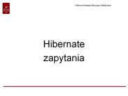 Hibernate