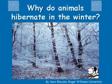 Why do animals hibernate in the winter?
