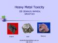 Heavy Metal Toxicity IBE OBIANUJU RAPHEAL GROUP 503 PowerPoint PPT Presentation