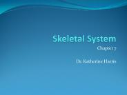 Skeletal System