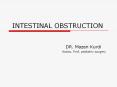 INTESTINAL OBSTRUCTION PowerPoint PPT Presentation