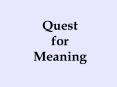 Quest for Meaning PowerPoint PPT Presentation