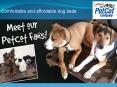Select the affordable and suitable Dog beds PowerPoint PPT Presentation