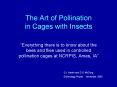 The Art of Pollination in Cages with Insects PowerPoint PPT Presentation