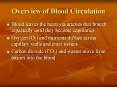 Overview of Blood Circulation PowerPoint PPT Presentation