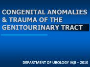 CONGENITAL ANOMALIES