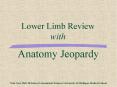 Anatomy Jeopardy    Tom Gest, PhD Division of Anatomical Sciences University of Michigan Medical School PowerPoint PPT Presentation