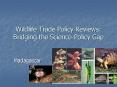 Wildlife Trade Policy Reviews: Bridging the Science-Policy Gap PowerPoint PPT Presentation