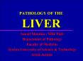 HISTOLOGY OF THE LIVER PowerPoint PPT Presentation