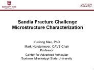 Sandia Fracture Challenge Microstructure Characterization