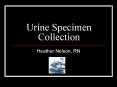 Urine Specimen Collection PowerPoint PPT Presentation