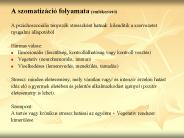 A szomatiz