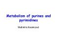 Metabolism of purines and pyrimidines PowerPoint PPT Presentation