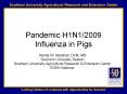 Pandemic H1N1/2009 Influenza in Pigs PowerPoint PPT Presentation