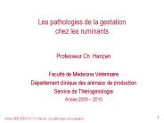 Les pathologies de la gestation chez les ruminants