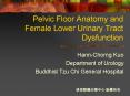 Pelvic Floor Anatomy and Female Lower Urinary Tract Dysfunction PowerPoint PPT Presentation