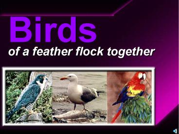 BIRDS IN HOMOEOPATHY