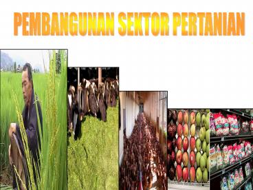 PEMBANGUNAN SEKTOR PERTANIAN