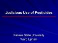 Judicious Use of Pesticides PowerPoint PPT Presentation