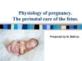Physiology of pregnancy. The perinatal care of the fetus. PowerPoint PPT Presentation