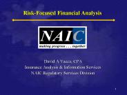 Risk-Focused Financial Analysis